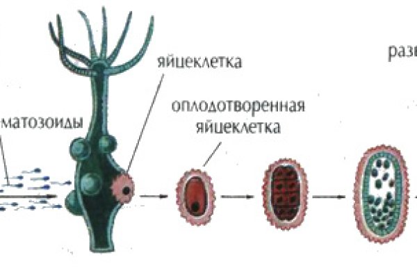 Кракен ссылка bazaonion com